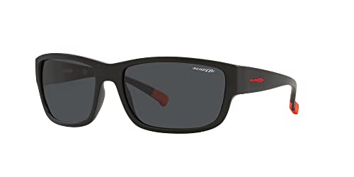 ARNETTE Sunglasses AN 4256 275887 Bushwick Matte Black Dark Grey