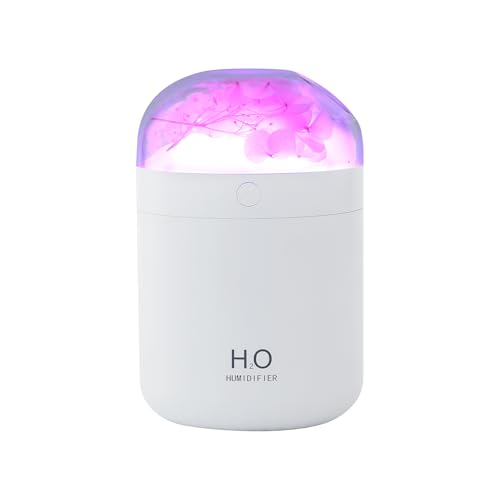 Hydrangea 2-Mode Humidifier
