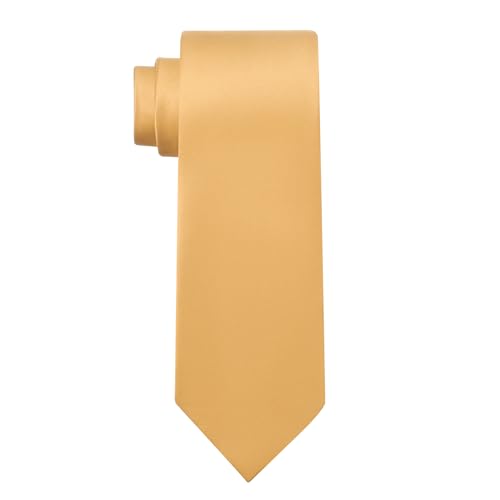 KOOELLE Men's Ties Solid Pure Color Plain Neckties Formal Champagne Ties For Men