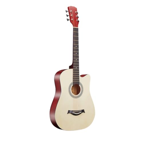 jhhuuyaAR[XeBbNM^[ 38C` 10_Zbg SғZbg w KM^[ ARM q lp Jb^EFC \tgP[Xt ^ѕ֗ S guitar (A,38C`)