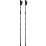 MIZUNO(ミズノ) ノルディック・ウォーク 折りたたみカーボンウォーキングポール 2本1組 ユニセックス ブルー C3JTPB20