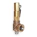 Apollo Valves 523GFBKMAA0450 Multi-Purpose Safety Relief Valve - 1 1/4 x 2