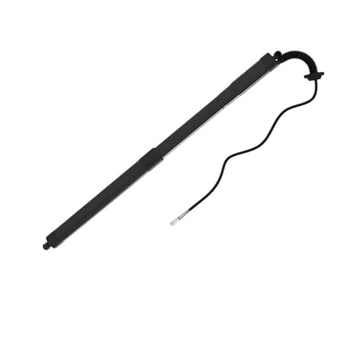 ���A�e�[���Q�[�g�p���[���t�g�T�|�[�g ���N�T�X�p NX300�p NX300h�p AZ10�p 2018-2021�p ���A���E�e�[���Q�[�g�K�X�X�g���b�g 2��(Left)