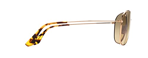 Image of Maui Jim Polarized Men's and Women's Cliff House Aviator Reading Sunglasses
