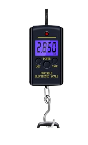 fW^XP[A40kg x 10g ~jdq݂艺ނוBalanca|[^ufW^nfB|PbgdʃtbNXP[ zH ׍~낵 H(Back light)