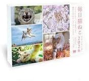 カレンダー 毎日猫ねこ 2026年日めくりカレンダー