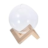 Abaodam Glas Pflanzen Terrarium Mit Holzständer Dekorative Pflanzenvase Für Pflanzenvermehrung Transparentes Glasgefäß Für Hydroponik Für Wohnzimmer Und Garten