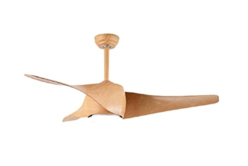 Ventilateur de plafond avec lampe LED plafonnier silencieux télécommande 52 pouces