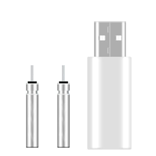 Cargador de flotador electrónico CR425 Batería flotante de pesca recargable El juego incluye: 1 carga USB y 2 pilas recargables CR425.