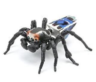 Amazon.co.jp: いきもの大図鑑 ピーコックスパイダー 全5種