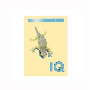 (業務用セット) 伊東屋 バイオトップカラー A4判 250枚入 160g/m2 BT801 クリーム 【×2セット】