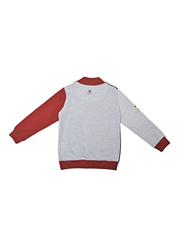 Image of Baby-Boys Sweatshirt
