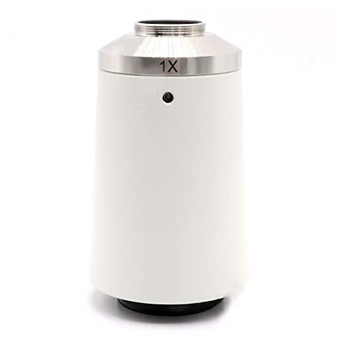 ώ@ 1{erʐ^A_v^[AJC}EgA_v^[