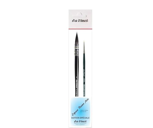 Pinceau aquarelle Da Vinci Casaneo 498 n 2 set pinceaux peinture beaux arts
