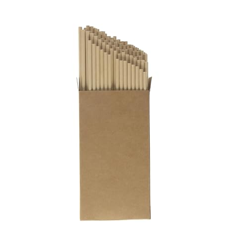 Lot de 100 pailles en papier, 20 cm, stables dans le verre jusqu'à 24 heures, biodégradables, idéales pour les pique-niques, les mariages et les fêtes, en papier kraft, couleur : marron