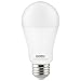 Sunlite 80808 LED A19 Light Bulb, 15 Watts (100W Equivalent), 1600 Lumens, Medium E26 Base, Dimmable, UL Listed, Energy Star, Frost, 4000K Cool White, 1 Pack