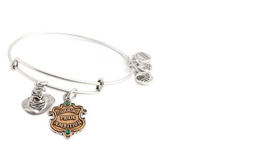 Alex and Ani Harry Potter Slytherin And Sorting Hat Two Tone Duo Charm Bangle, Unisex, Rafaelian Silver Finish, Nickel Free, Made in USA, Hypoallergenic, Medium, AS19EBSLYTTRS