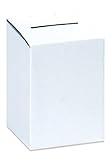 Aviditi MBALLOT Corrugated Ballot Box, 10
