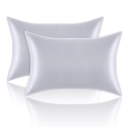 Satin Pillowcases Standard Set of 2 - Silk Soft Pillow Cases for Hair and Skin 20x26 inches, Silver Grey Satin Pillow Covers 2 Pack with Envelope Closure for Home,School, Hotel