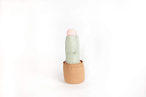 Mon Ami 3D Soft Plush Cactus In Flowerpot Pillow And Toy, Huggable Cactus Flowerpot Shaped Pillow, Plush & Decorative Accessory Cushion For Child’s Bed/Couch, Perfect Party Favor & Birthday Gifts,12" #TOP1