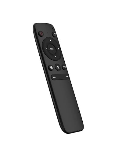 Ottocast PICASOU 2 リモコン、備品付き 21x0KsOUb4L.jpg
