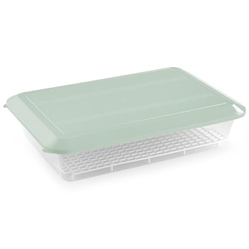 Bandeja Descongelar Alimentos + Rejilla Antigoteo 4,2L Tapa Verde