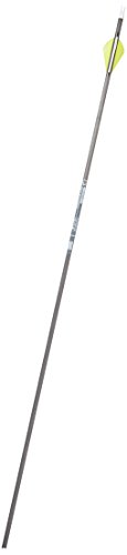 Gold Tip Ultralight Entrada 600 Arrows with 2-Inch HP Vanes (Pack of 12)