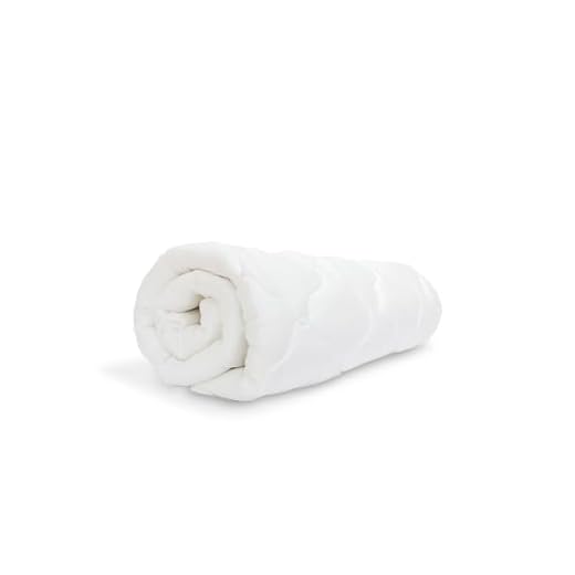 eLuxurySupply Rayon from Bamboo Extra Thick Mattress Topper with Fitted Skirt - Extra Plush Cooling Pad - Hypoallergenic - Proudly Made in The USA, Queen