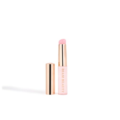 Diam Beauty Silicon Airbrush Applicator for Soft Filter Blurring Pot, Lip Gloss Tint Mask - Reusable Beauty Applicator, Dustproof Stick