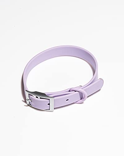 Collar Wild One X Pequeño Lila para perros cachorros y razas mini 2