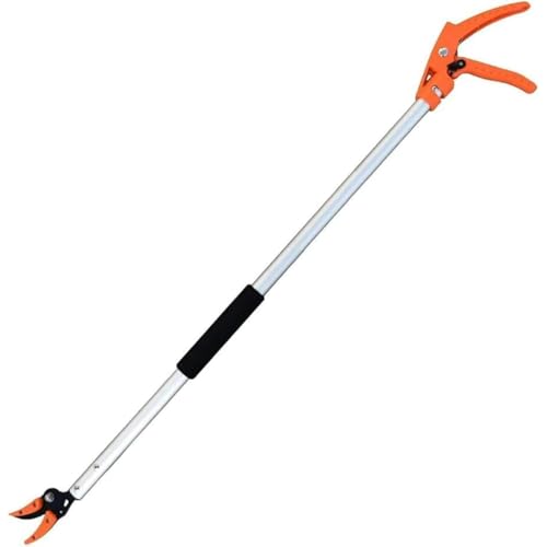 Wnbsiueyʍ}؂oT~ |p}؂ ʕnɂK g₷ (0.8[gP) [sAi]