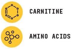 BEYOND RAW Chemistry Labs L-Carnitine Powder, Fuels Exercise and Supports Recovery, 30 Servings - Image 5