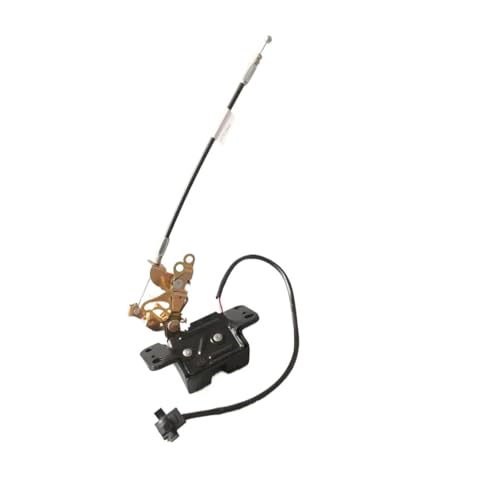 Cerradura Para Maletero Pestillo de puerta trasera con cable para Lexus RX300 (1998, 1999, 2000, 2001, 2002 y 2003)(Lock with cable)