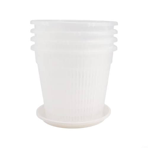 Sauvez vos orchidées avec ce pot transparent perforé de 19 cm