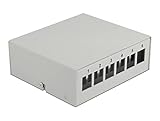 Delock Keystone Patchpanel 6 Port grau