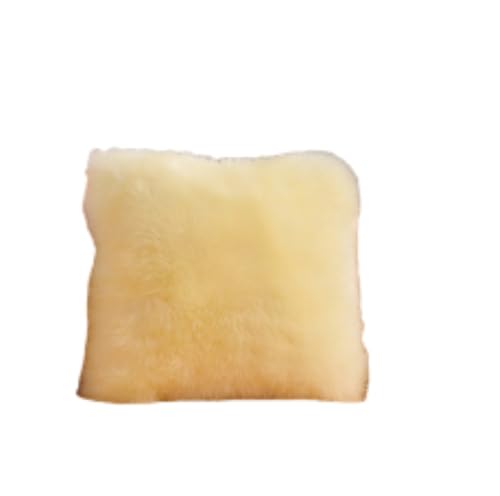 JOYKOL Funda de cojín decorativa de pelo largo, funda de cojín de felpa sintética (beige cálido, 50 x 50 cm)
