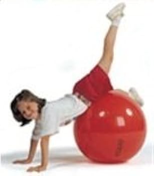 バランスボール　GYMNIC plus 75cm ギムニク ギムニク｜ギムニクショップ公式サイト / GymnicPlus75 ギムニク