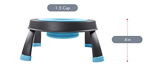 Dexas Popware For Pets Single Elevated Pet Feeder, Small, Gray/Blue #TOP4