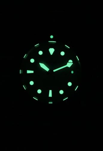 RATIO FreeDiver Sapphire Crystal Diver Watch Japanese Automatic Movement Dive Watch 200m Water Resistant Diving Watch