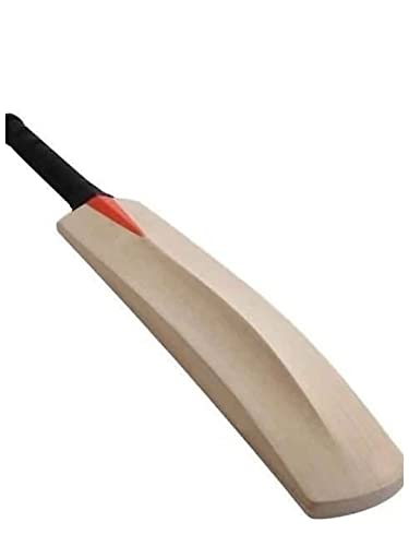 Sports Meerut Wooden Cricket Bat, Popular Willow, for Tennis and Rubber Ball, Size 3, Plain