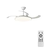 Ventilador de Techo con Luz Ultrafino, Plafón LED 60W 6900lm con Motor DC Silencioso, Diseño Moderno Extraplano, Mando a Distancia, Función Verano/Invierno, Dormitorio y Salón