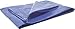 Performance Tool PMW6009 Protective Tarp Size 10 x 20