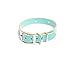 Handmade Studded Bridle Leather Dog Collar, Silver Tone Hardware and Stainless Steel Nameplate (Robin's Egg Blue)