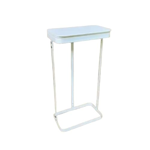 Diexgiy ƒpS~bN^tbvJo[X^C̃S~̓Xy[Xߖ񂵂܂ (zCg,60)