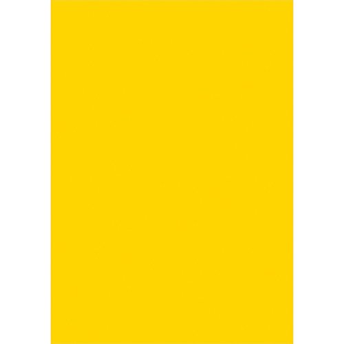 タカ印 ケイコーポスター 13-3192 厚口 B4判 玉子色