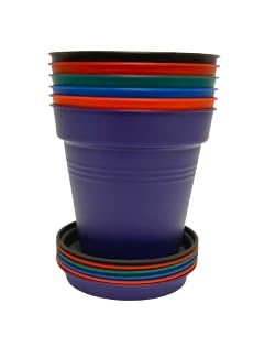 Mintra Home Garden Pots - Flowers, Herbs, Plants, Indoor, Outdoor, Colorful, Wholesale, Bulk (Assorted 6pk, 15cm Diameter (5.9in))
