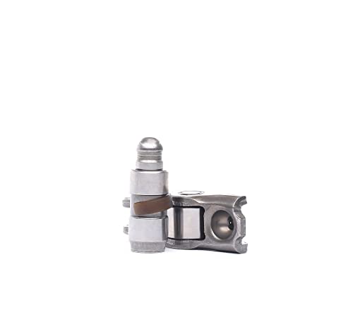 INA 423 0023 10 levier oscillant