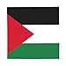 BSKGOHP Fashion Palestine Flag Print Bandana Multi Use Square Scarf For Outdoor Sports