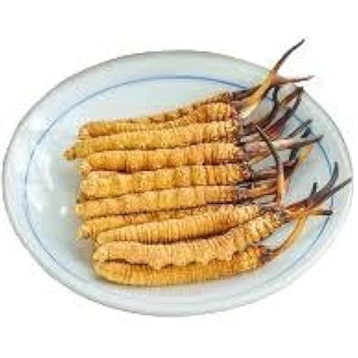 Tibetan Keeda Jadi Immune Booster - 12 Pieces