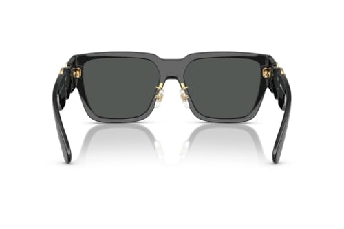 Versace Sunglasses VE 4483 D GB1/87 Black Dark Grey4